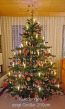 künstlicher Spritzguss Weihnachtsbaum Hamilton 210cm geschmückt Kundenfoto