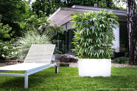 Kunstpflanze Naturstamm Bambus-Hecke ca. 180cm