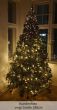 künstlicher Weihnachtsbaum 300cm Spritzguss Richmond Edeltanne Kundenfoto