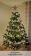 künstlicher Weihnachtsbaum 180cm Spritzguss Edeltanne Hamilton Kundenfoto mit Beleuchtung