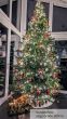 künstlicher Weihnachtsbaum 270cm Spritzguss Nordmanntanne Alnwick Kundenfoto